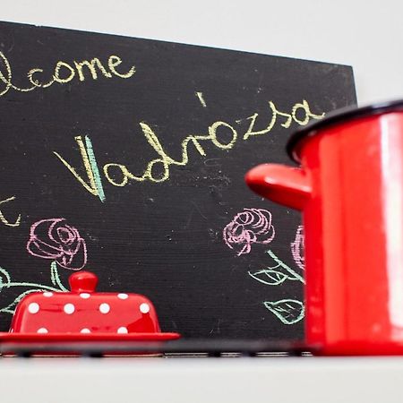 Gasthaus Vadrozsa Vendeghaz Rácalmás Exterior foto