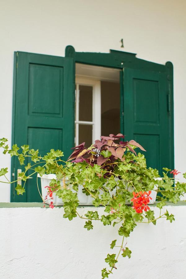 Gasthaus Vadrozsa Vendeghaz Rácalmás Exterior foto