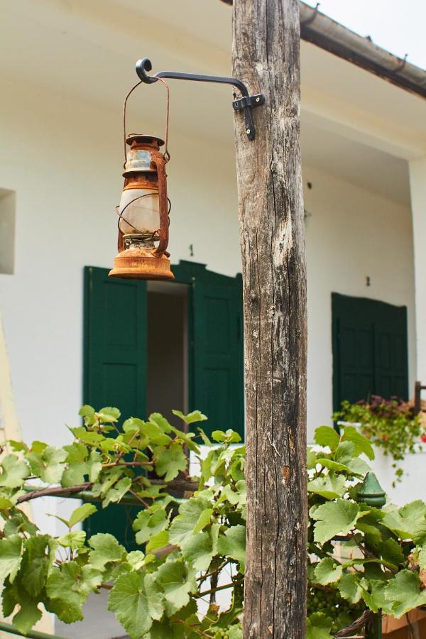 Gasthaus Vadrozsa Vendeghaz Rácalmás Exterior foto